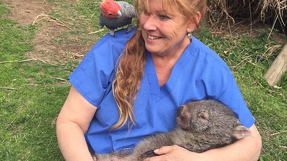 Cette femme a le meilleur job du monde : sauveteuse de wombats