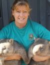 Le meilleur job du monde : sauveteuse de wombats