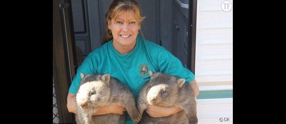 Le meilleur job du monde : sauveteuse de wombats
