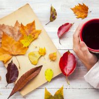 5 secrets ayurvédiques pour un automne ultra-cool