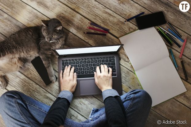 Coronavirus Pourquoi Les Chiens Et Chats Sont Les Meilleurs Compagnons De Confinement Terrafemina