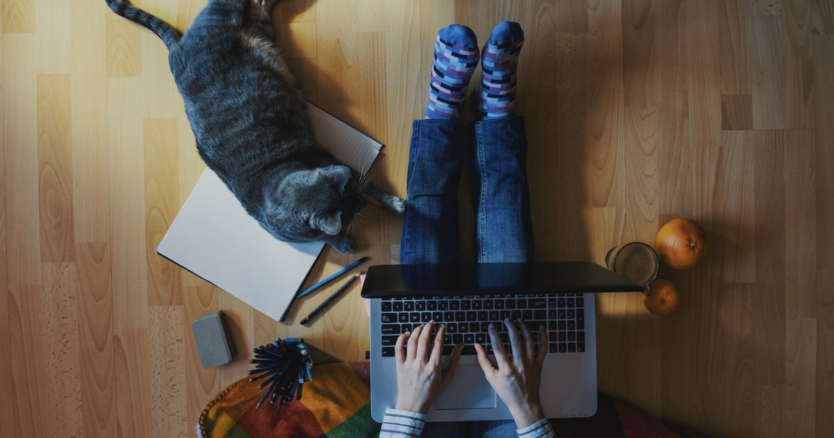 6 jeux de société en ligne pour ensemble (même à distance) Terrafemina