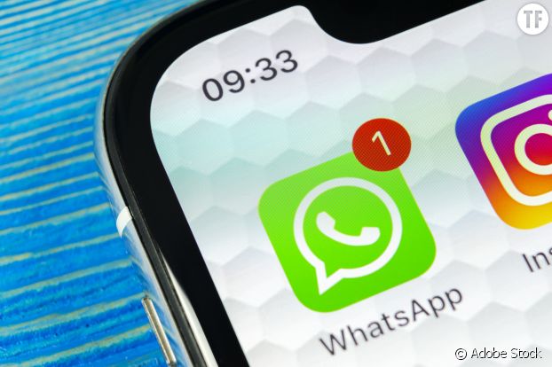 Au printemps, WhatsApp a connu un pic de connexion qui a dépassé les records du 31 décembre.