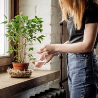 7 astuces pour que mes plantes ne décèdent pas pendant mes vacances