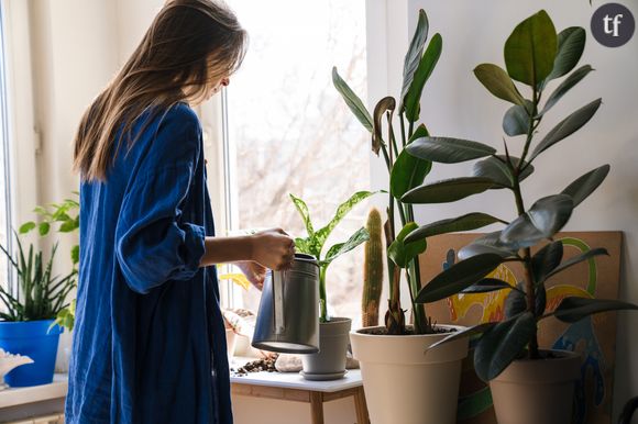 Bouteille plastique, fil de laine, plant-sitting : des astuces efficaces et pratiques