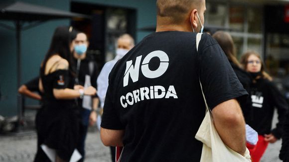 Des taureaux nommés "Féministe" et "Nigérian" : la corrida de Gijón crée le scandale