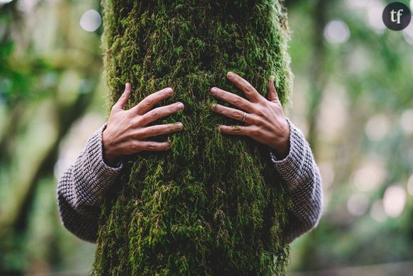 Faire un bain de forêt