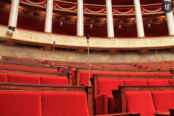 A l'Assemblée Nationale, les inégalités de genre perdurent