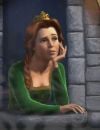 La princesse Fiona est la protagoniste de "Shrek", qui détourne les codes des contes.