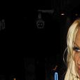     Cette même année, Pamela Anderson demande le divorce    