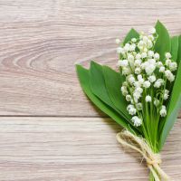 1er mai : origines et histoire de la fête du muguet et du travail