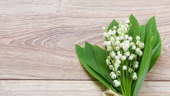 1er mai : origines et histoire de la fête du muguet et du travail