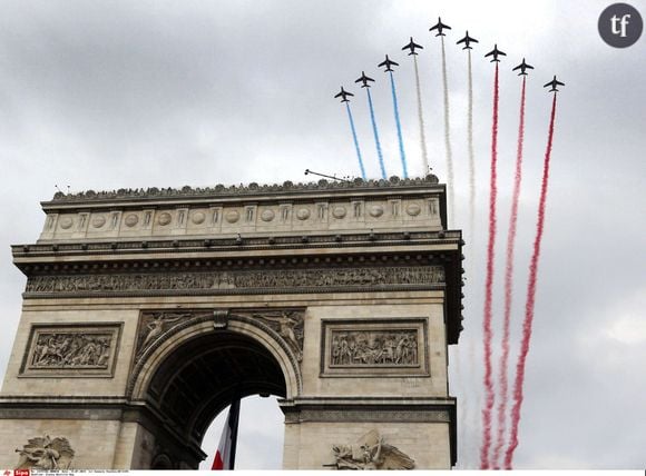 La Patrouille de France survole les Champs Elysées à Paris, le 14 juillet 2014.