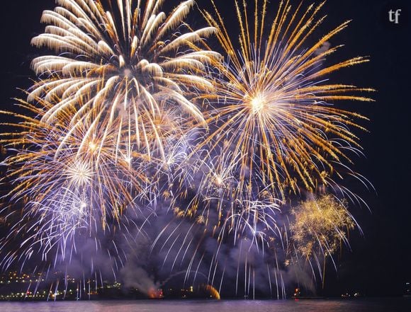 Le feu d'artifice du 14 juillet viendra illuminer le ciel de toutes les villes de France.