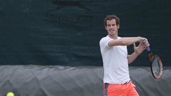 Coupe Davis 2015 : heure, chaîne et streaming du simple messieurs avec Murray et Simon (19 juillet)