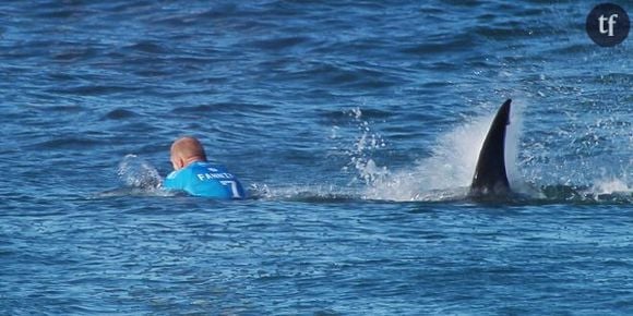 Le surfeur Mick Fanning face au requin