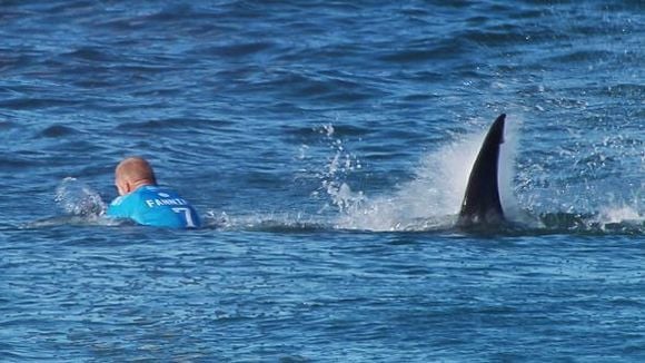 Un surfeur australien attaqué par un requin en direct : la vidéo terrifiante