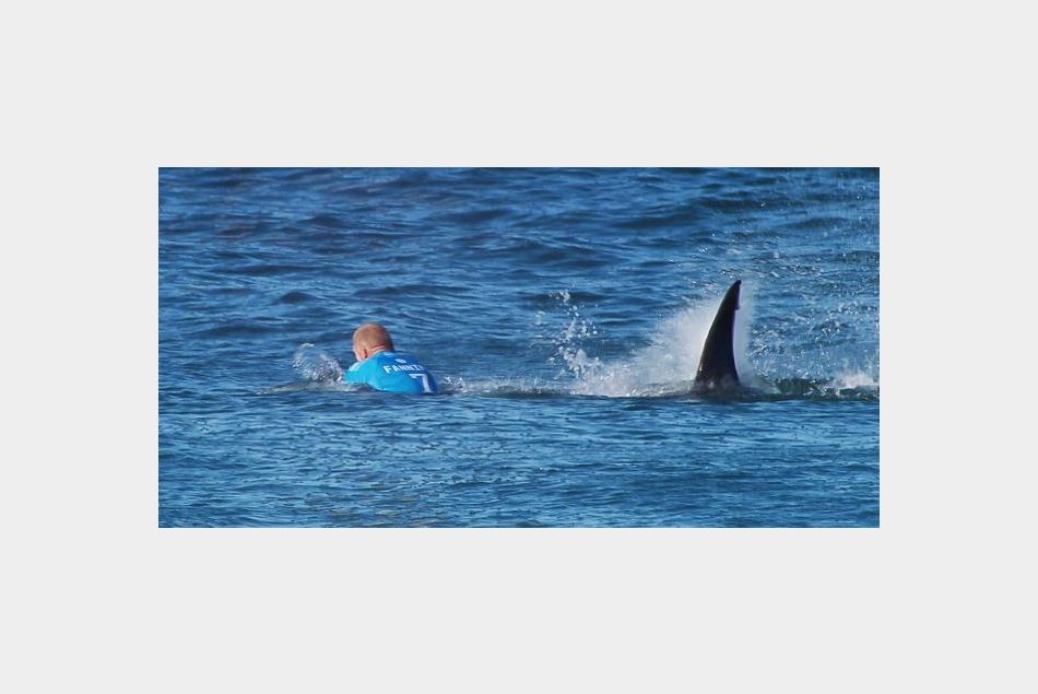 Le surfeur Mick Fanning face au requin