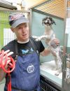 Mark Imhof offre ses talents de toiletteur aux chiens qui vivent dans les refuges new yorkais
