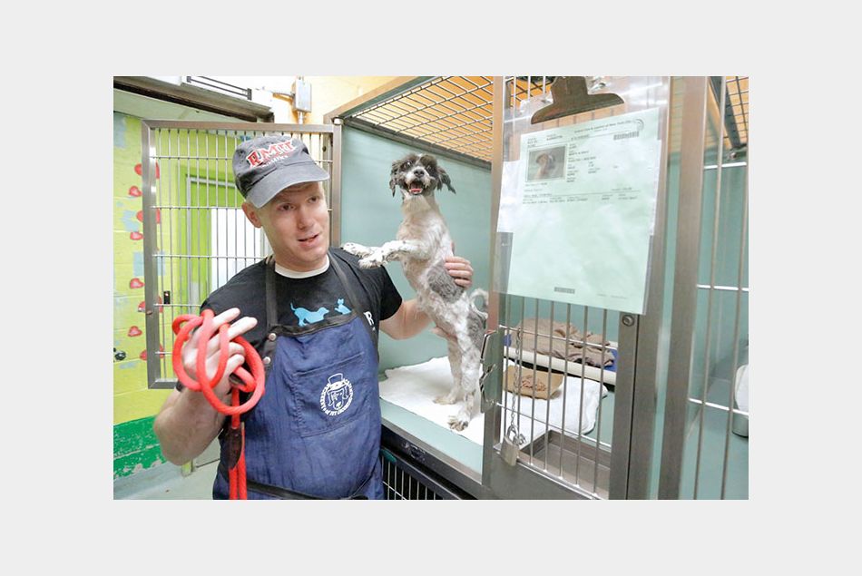 Mark Imhof offre ses talents de toiletteur aux chiens qui vivent dans les refuges new yorkais