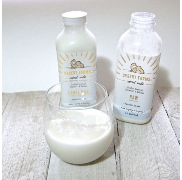 Le Lait De Chamelle La Nouvelle Boisson Magique Pour Une Peau De Rêve