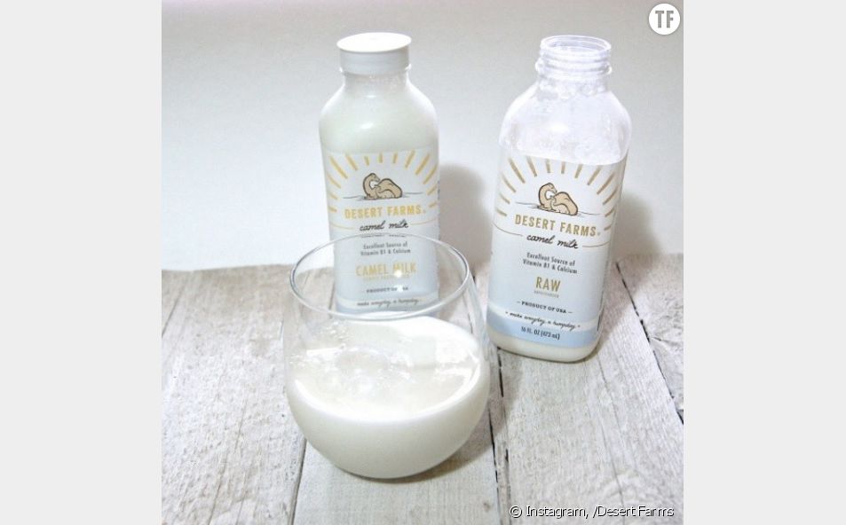 Le lait de chamelle la nouvelle boisson magique pour une peau de rêve ? Terrafemina Le lait de chamelle la nouvelle boisson magique pour une peau de rêve ? Terrafemina