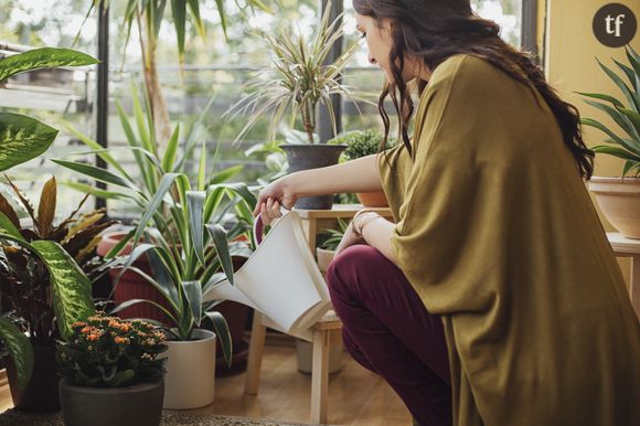 Les plantes qui ont le pouvoir de purifier l'air de votre intérieur