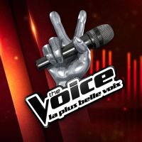 The Voice 2017 : premières auditions à l'aveugle sur TF1 Replay (18 février)