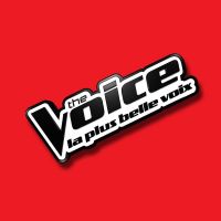 The Voice 2017 : quatrièmes auditions à l'aveugle sur TF1 Replay (11 mars)