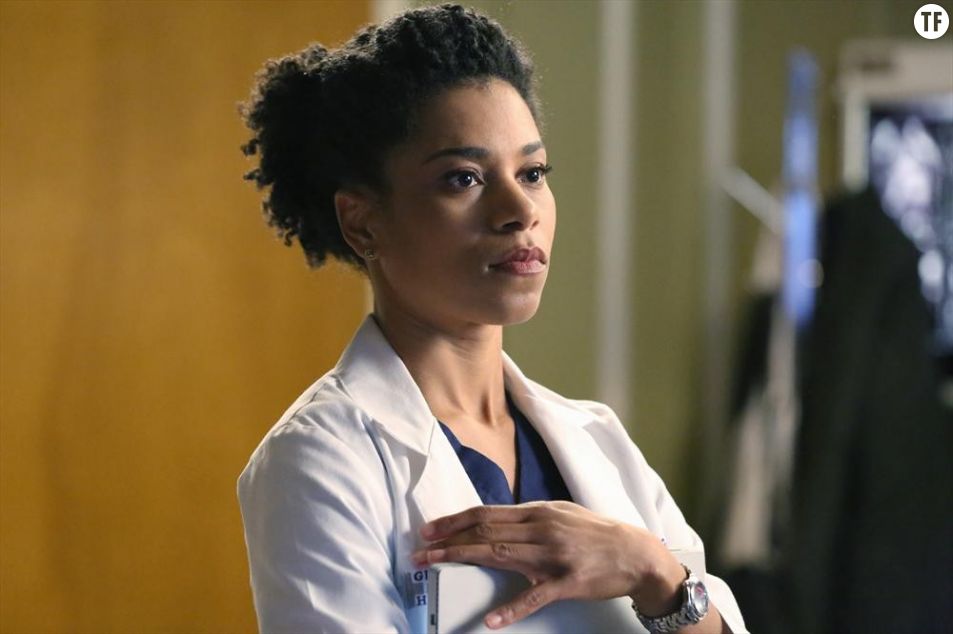 Greys Anatomy En Streaming Saison 13 Grey's Anatomy Saison 13 En Streaming - panflock
