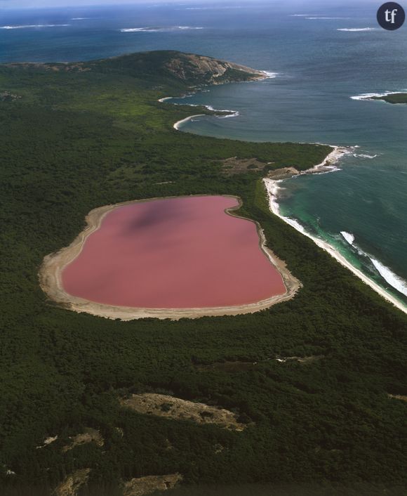 Le Lake Hillier,  en Australie-Occidentale