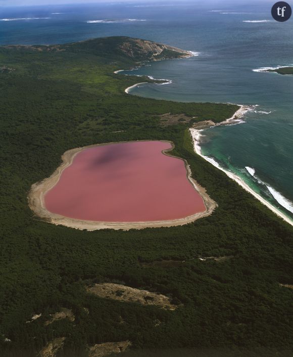 Le Lac Hillier en Australie-Occidentale