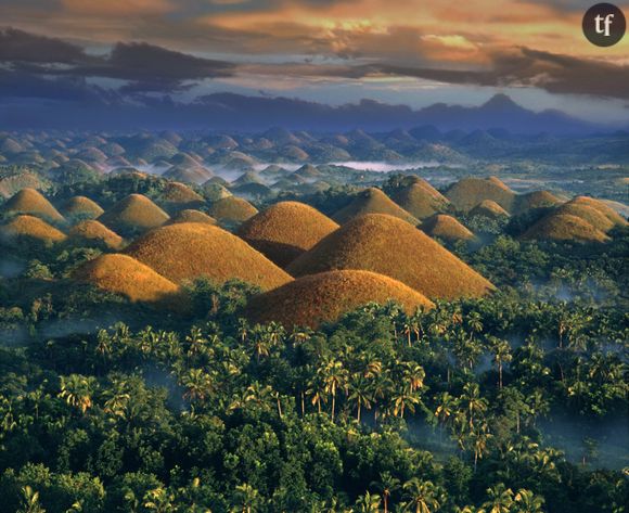 The Chocolate Hills aux Philippines
