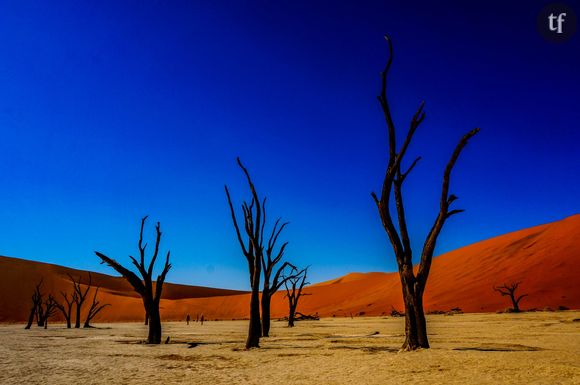 Deadvlei dans le désert de Namibie