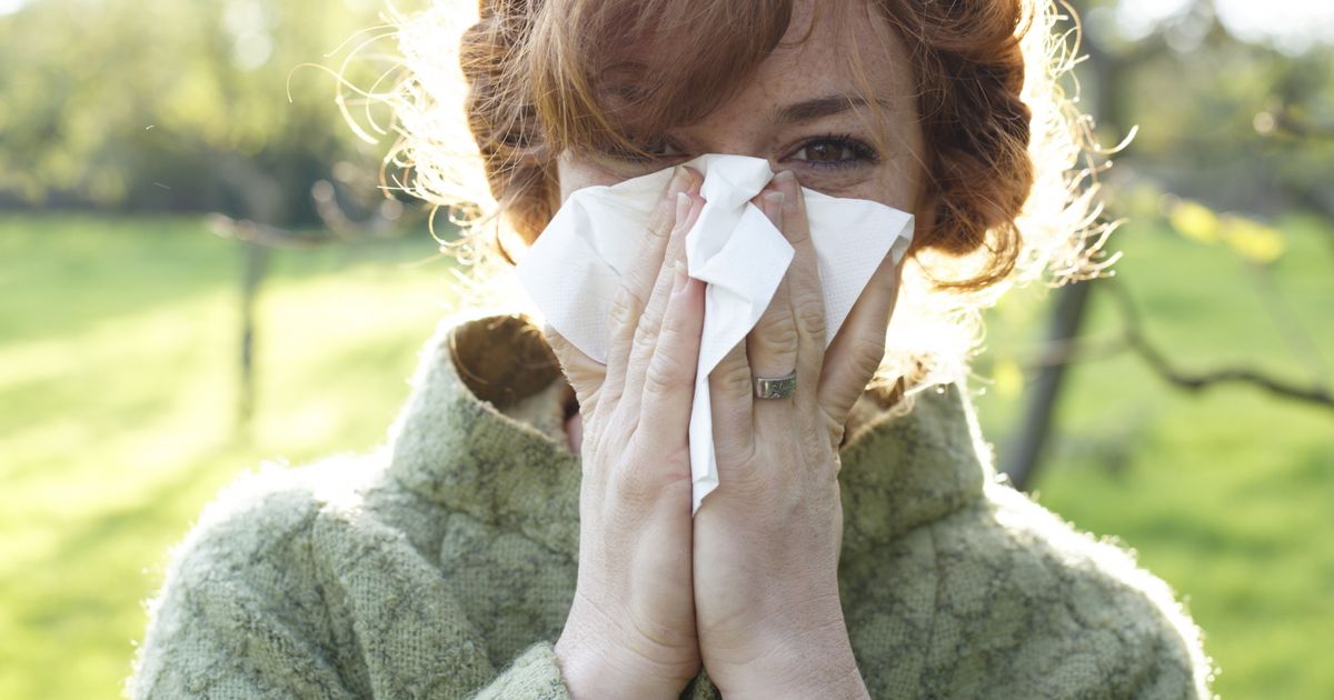 Rhume ou allergie ? Voici comment les différencier Terrafemina — free download