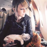 Pourquoi vous ne devriez plus aimer ces chats sur Instagram