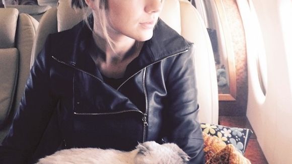 Pourquoi vous ne devriez plus aimer ces chats sur Instagram