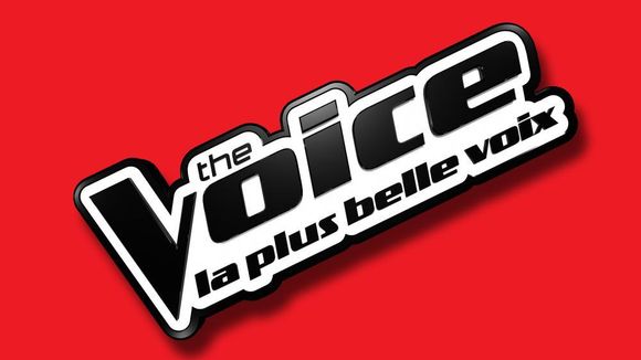 The Voice 2017 : le deuxième show en direct à revoir sur TF1 Replay (27 mai)