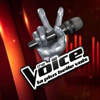 The Voice 2017 : revoir la grande finale sur TF1 Replay (10 juin)