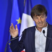 Nicolas Hulot : ses enfants ébranlés par les rumeurs