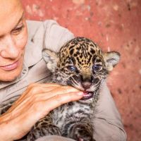 Muriel Robin et Chanee sur la terre des jaguars : voir le replay sur FranceTV (26 février