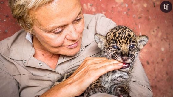 Muriel Robin et Chanee sur la terre des jaguars : voir le replay sur FranceTV (26 février