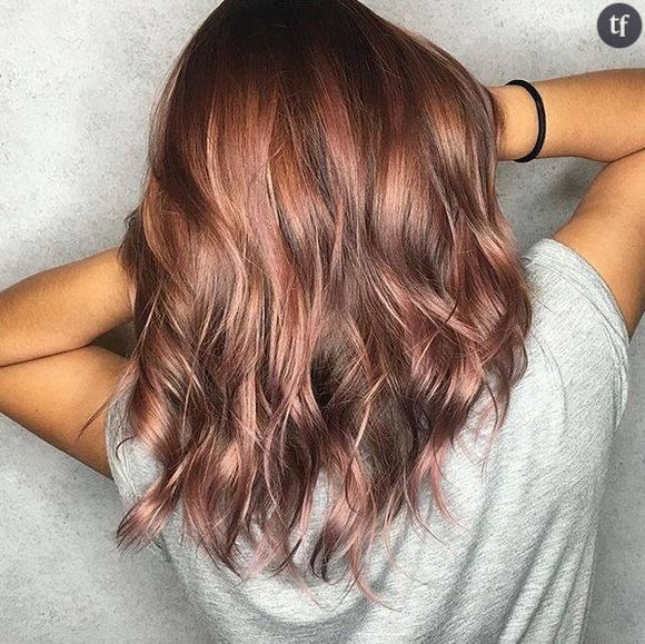 Le Rose Brown Hair est la coloration qui va ravir les brunes.