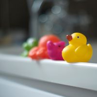 Les canards de bain sont des nids à bactéries : des chercheurs alertent