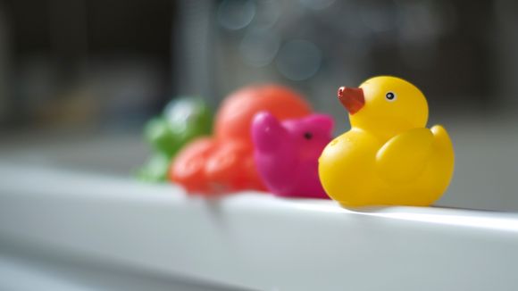 Les canards de bain sont des nids à bactéries : des chercheurs alertent