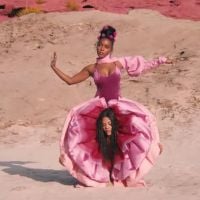 Avec son clip "Pynk", Janelle Monáe célèbre le "pussy power"