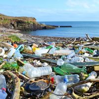 Cette Irlandaise de 11 ans milite pour éliminer les déchets des plages de son pays