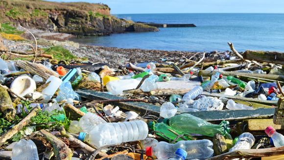 Cette Irlandaise de 11 ans milite pour éliminer les déchets des plages de son pays