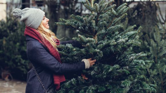 Témoignage : voilà pourquoi je ne fêterai pas Noël en famille