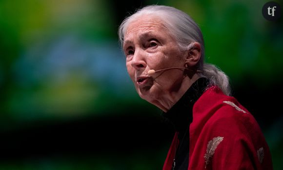 La primatologue Jane Goodall en 2019